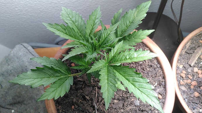 Growreport Bild 2