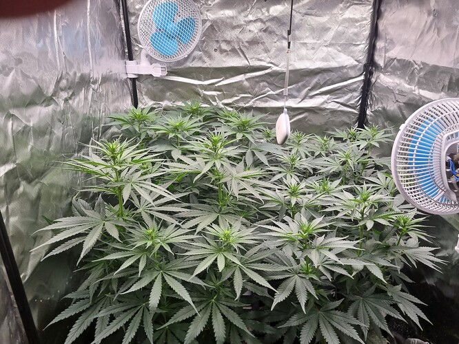Growreport Bild 25