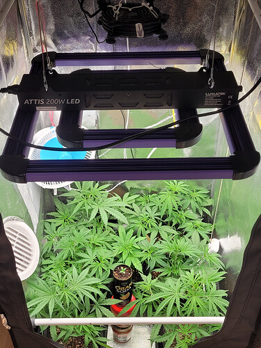 Growreport Bild 13