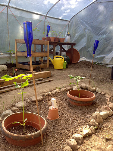 Growreport Bild 14