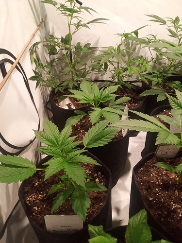 IMG_20210314_221600_564