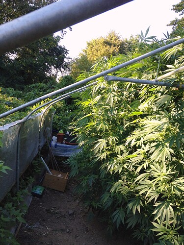 Growreport Bild 12
