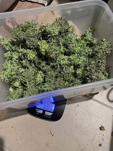 Growreport Bild 9