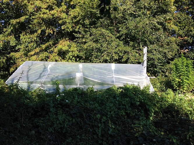 Growreport Bild 5