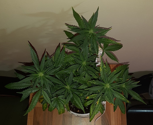 Growreport Bild 14