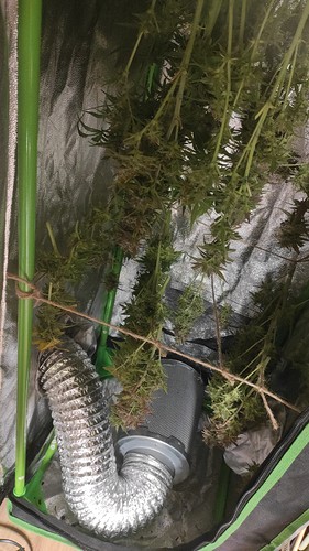 Growreport Bild 7
