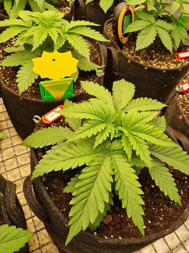 Growreport Bild 10