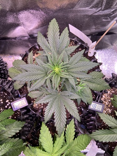 Growreport Bild 18