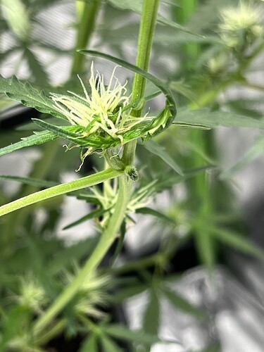Growreport Bild 18