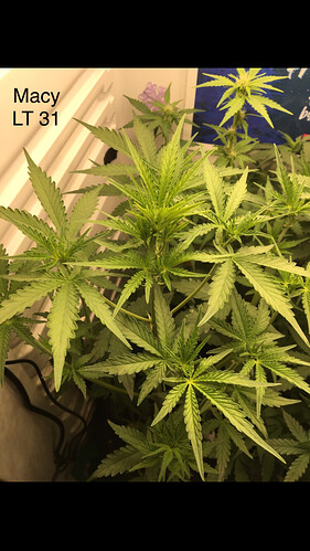 Growreport Bild 16
