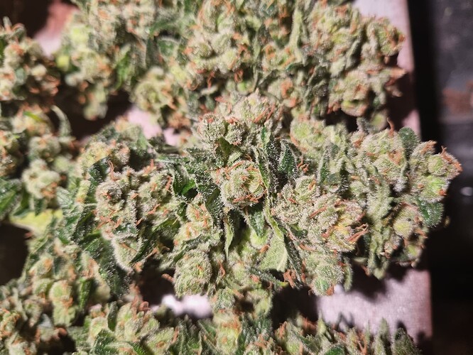 Growreport Bild 10