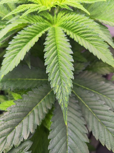 Growreport Bild 9