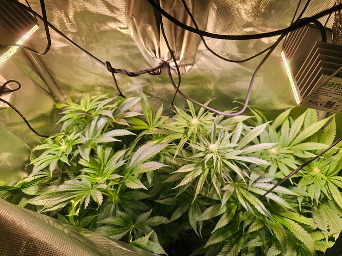 Growreport Bild 5