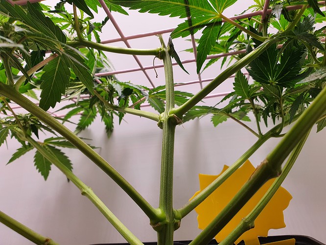 Growreport Bild 1