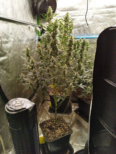 Growreport Bild 15