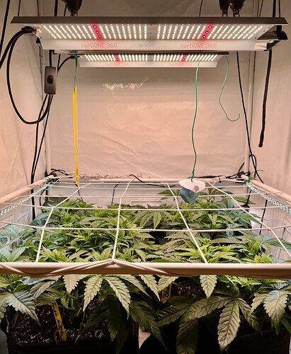 Growreport Bild 16
