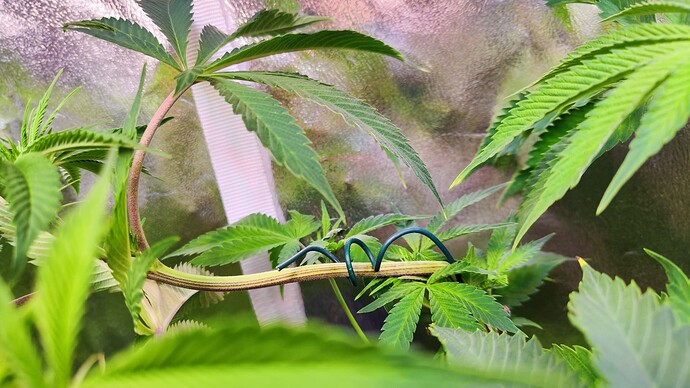 Growreport Bild 13