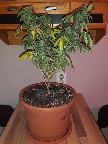 Growreport Bild 15