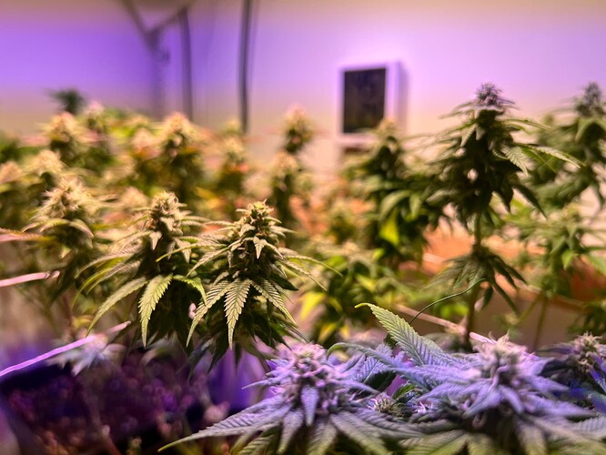 Growreport Bild 22