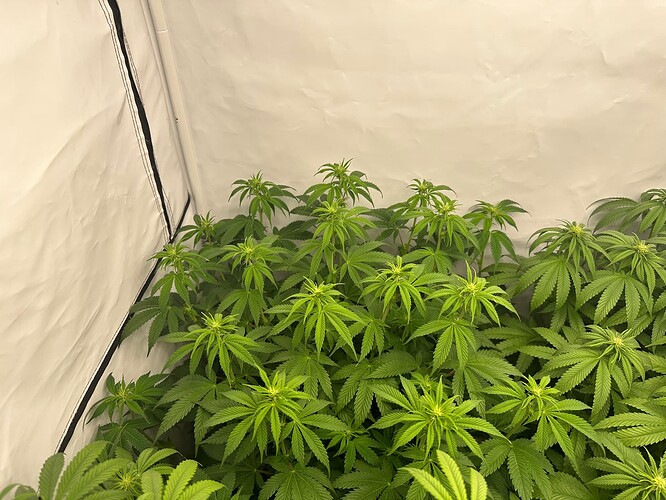 Growreport Bild 1