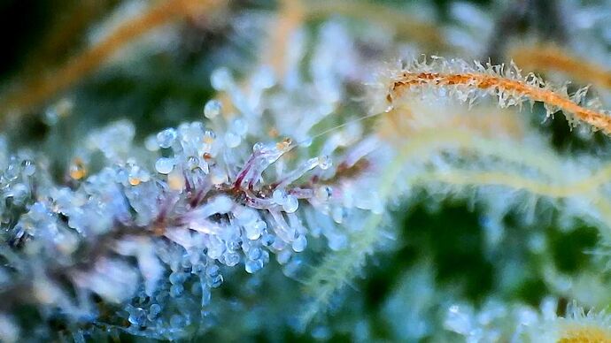Growreport Bild 19