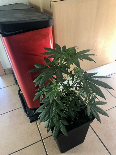 Growreport Bild 13