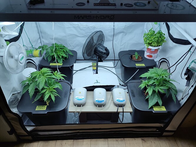 Growreport Bild 18