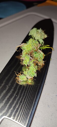 Growreport Bild 17