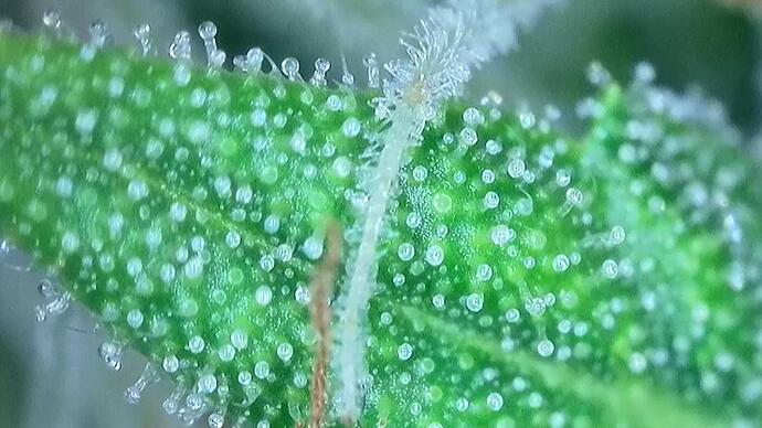 signal-2022-10-25-191504_005