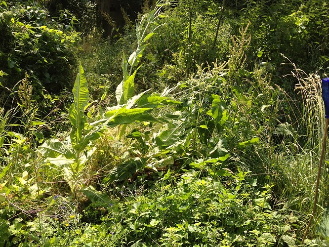 069_SturmwarnungPoly_06