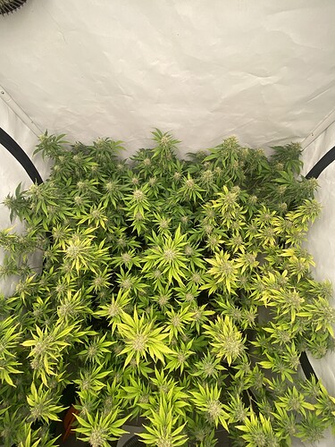 Growreport Bild 2