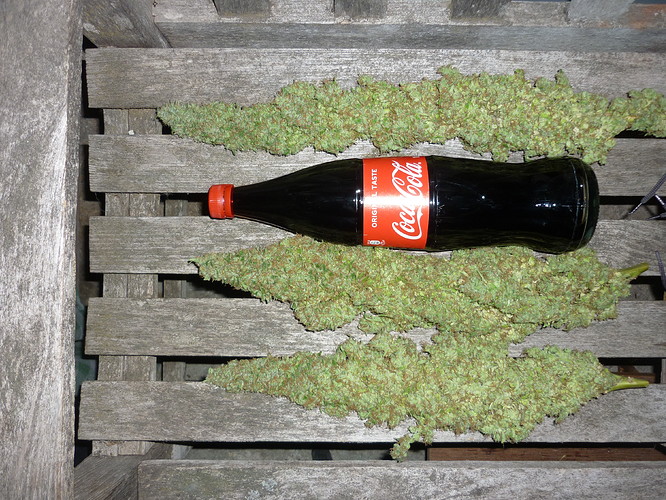 Growreport Bild 1