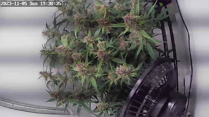 Growreport Bild 5