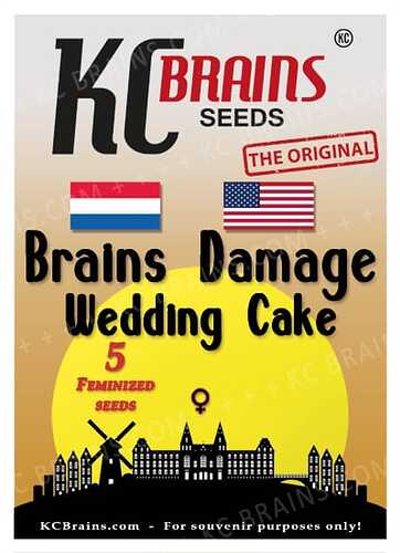 FEM-kcbrains-wedding-cake