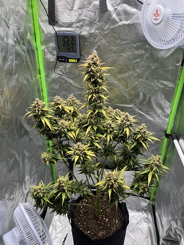 Growreport Bild 10