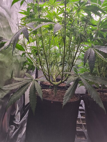 Growreport Bild 57