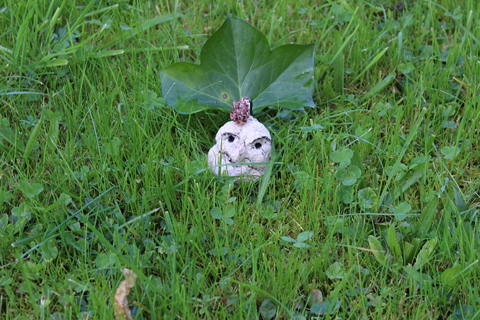 Growreport Bild 10