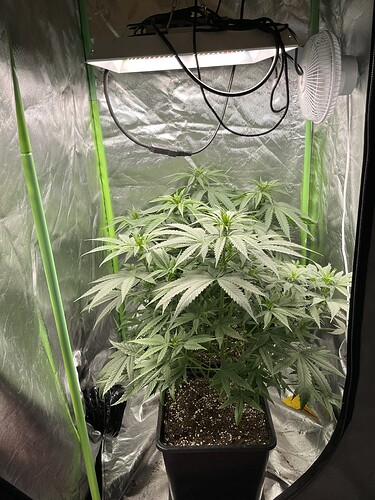 Growreport Bild 5