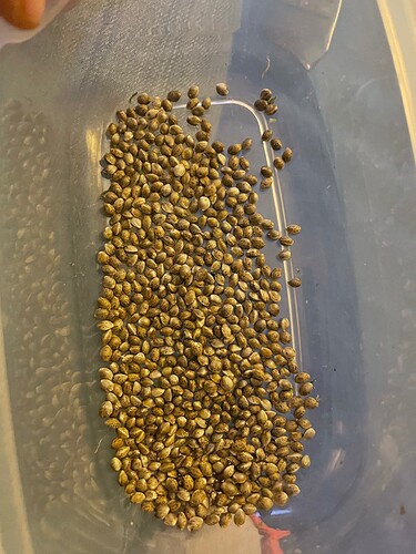 Growreport Bild 14