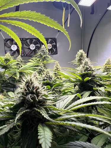 Growreport Bild 7