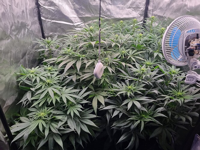 Growreport Bild 23