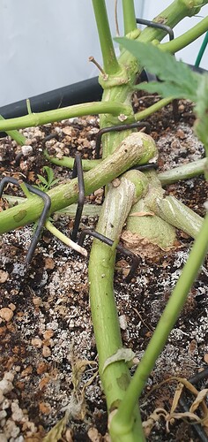 Growreport Bild 13
