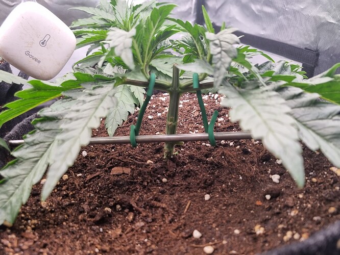 Growreport Bild 12
