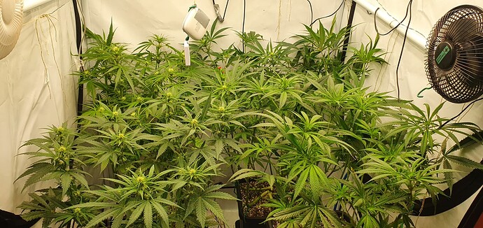 Growreport Bild 7
