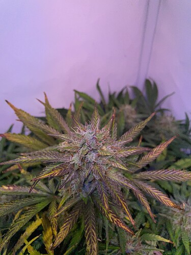 Growreport Bild 17
