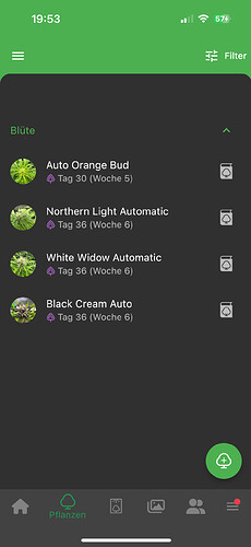 Growreport Bild 1