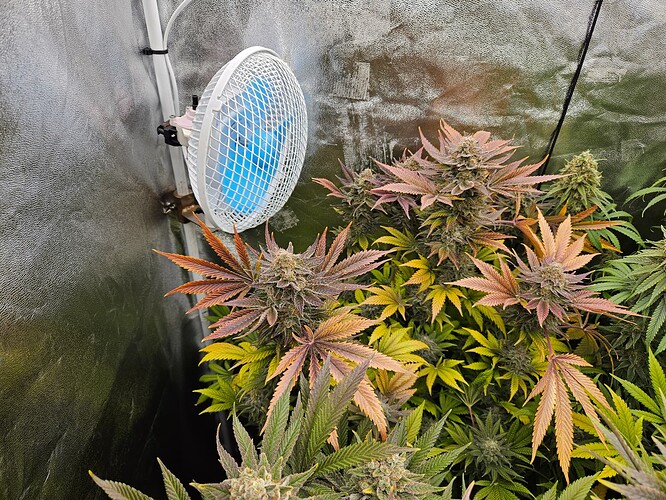 Growreport Bild 24