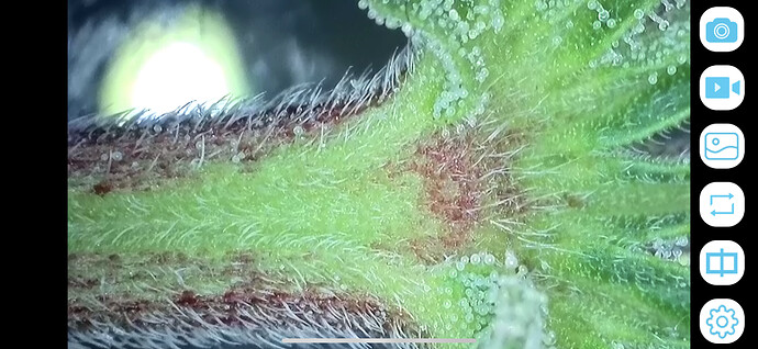 Growreport Bild 11