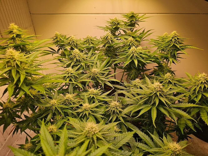 Growreport Bild 17