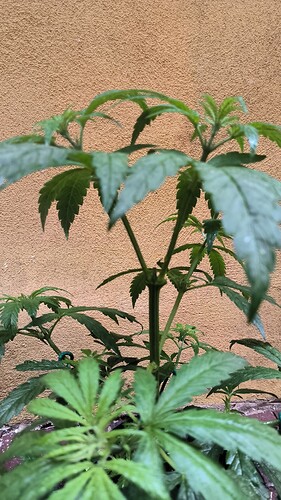 IMG_20230621_085111